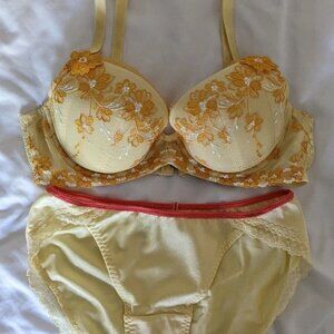 New without Tag - Vintage Triumph Embroidered Push Up Bra C70/32B and Undie Set